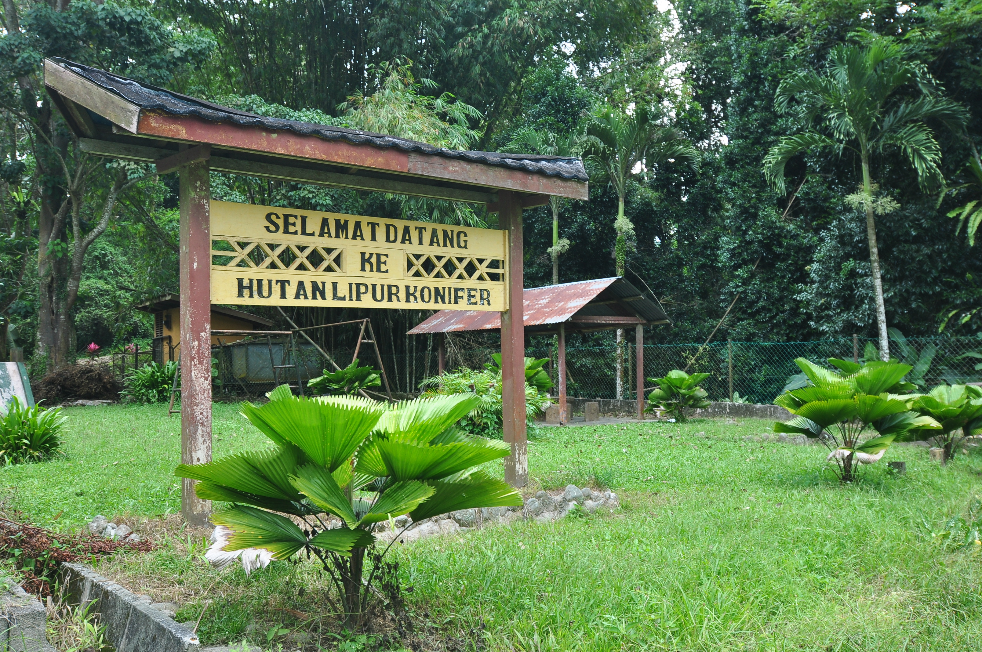 Taman Eko-Rimba Konifer 